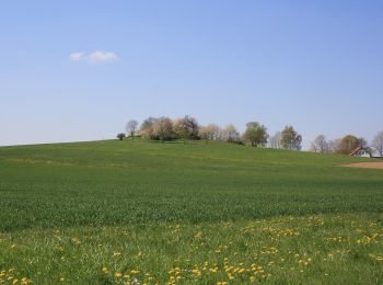 Tour Zu Fuß Künzell-Bachrain - Dietershausen Nordic Walking 6 - Photo