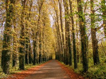 Randonnée Marche Cour-Maugis sur Huisne - Maison-Maugis par la Miauserie 9,3km - Photo