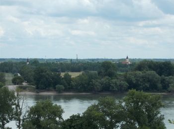 Tour Zu Fuß Szigethalom - Tököli S+ - Photo