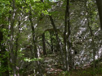 Tocht Te voet Gemeinde Schwarzenbach - Mostheurigenrunde 1 (Schwarzenbach) - Photo