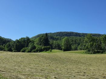 Tour Wandern Les Planches-en-Montagne - Montliboz - Gorges de la Langouette  - Photo