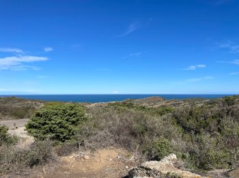 Trail Walking Cadaqués - Cap Creus effacer trace excédentaire  - Photo