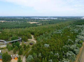 Randonnée A pied  - Rundwanderweg Bärenbrücker Höhe - Photo