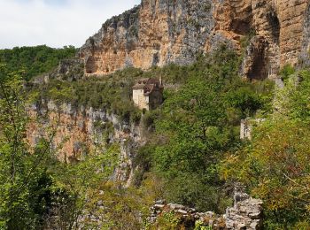 Excursión Senderismo Marcilhac-sur-Célé - Marcilhac Cabrerets J3+ - Photo