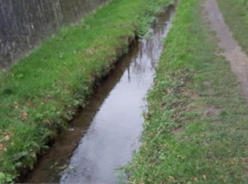 Randonnée Marche Bourg-de-Péage - étang de chaleyre  - Photo