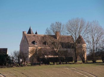 Randonnée Marche Berd'huis - Berd'huis - Prieuré de Sainte-Gauburge via Préaux-du-Perche 10 km - Photo