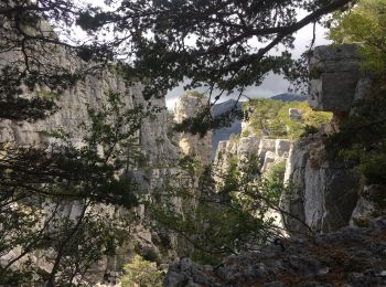 Randonnée Marche Castellane - Cadières de Brandis - Photo