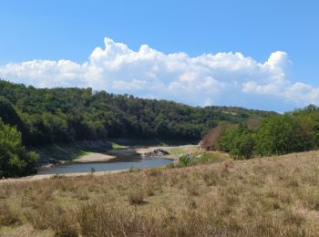 Tour Wandern Vézelin-sur-Loire - St Paul de Vezelin  - Photo