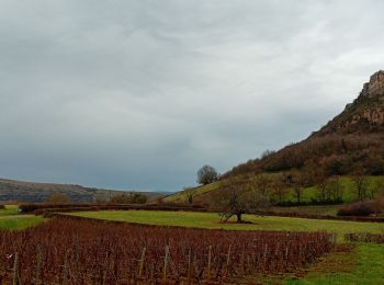 Percorso Marcia Solutré-Pouilly - Solutré - Photo