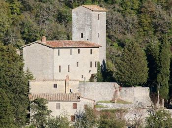 Tour Zu Fuß Gaiole in Chianti - IT-50 - Photo