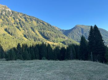 Tour Wandern Saint-Jean-d'Aulps - Les Mellis, La chaux , le col de l’écuelle , le pré nouveau  - Photo