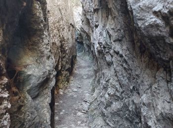 Excursión Senderismo Gruissan - Gruissan falaise de Vires - Photo