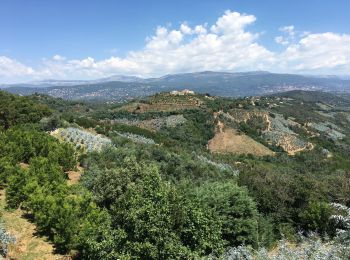 Tocht Wegfiets La Roquette-sur-Siagne - Col du Grand Duc - Photo