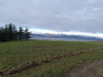 Excursión A pie Cournon-d'Auvergne - Cournon d'Auvergne - Photo