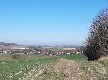 Excursión Senderismo Barbonne-Fayel - dans le vignoble Champenois autour de BARBONNE-FAYEL - Photo