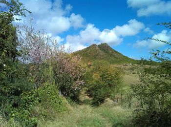 Percorso Marcia Sainte-Anne - parcours sportif de Petite Versailles vers le Cap Chevalier   - Photo