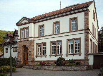 Trail On foot Heiligkreuzsteinach - Rundwanderweg Heiligkreuzsteinach 6: Heubach-Weg - Photo