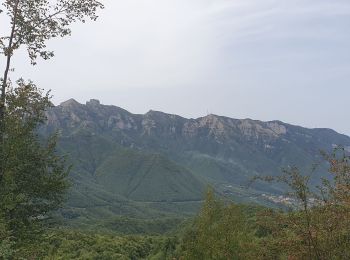 Trail Walking Agerola - les monts latari - Photo