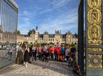 Tour Mountainbike Fontainebleau - Fontainebleau  - Photo