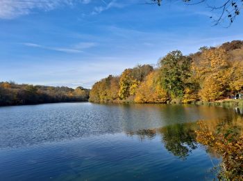 Randonnée Marche Versailles - Étangs de la Minière  - Photo