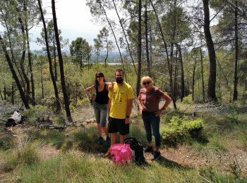 Tour Wandern Bollène - Le Barry ch. des trolls - Photo