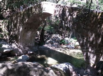 Randonnée Marche Évisa - gorges spelunca - Photo