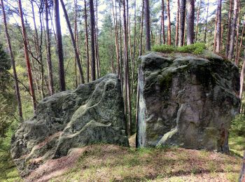 Excursión A pie Eckersdorf - Mistelbach Rundwanderweg 