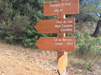 Tocht Stappen Castellar - mont carpano au départ de Castellar - Photo