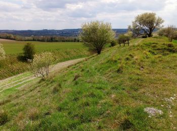 Trail On foot La Chaussée-Tirancourt - La Vallée d'Acon - Photo