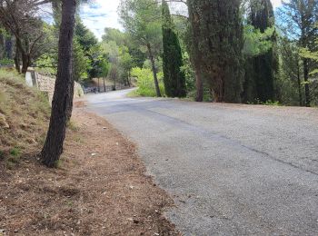 Tocht Stappen Portel-des-Corbières - TerraVinea-3 - Photo