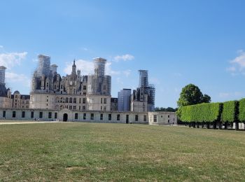 Tour Wandern Chambord - chambord - Photo