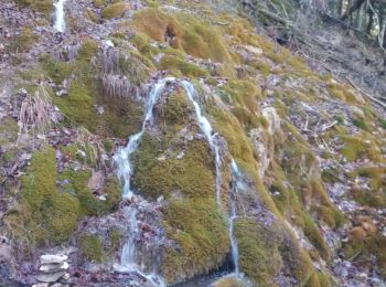 Excursión Senderismo Montgilbert - source des 7 fontaines - Photo