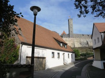 Excursión A pie Abenberg - Rundwanderweg 6 Abenberg - Photo