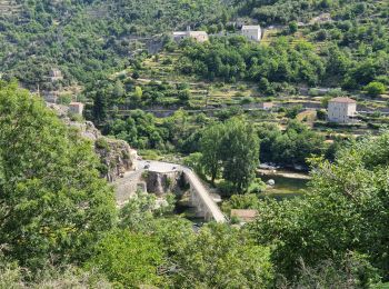 Tour Wandern Pied-de-Borne - au dessus de borne et les Aydons - Photo