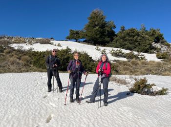 Excursión Senderismo La Bastide - Lachens le tour trace réelle - Photo