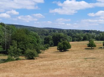 Tocht Stappen Montcornet - Montcornet Ardennes - Photo