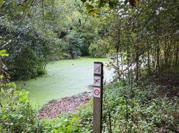 Excursión Senderismo Tubize - De Tubize à Braine le château et Leembeek - Photo