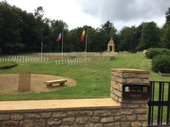 Excursión Senderismo Tintigny - Entre Gaume et Ardennes  - Photo