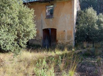 Tocht Te voet Le Beausset - les quatre frères de Daniel  - Photo