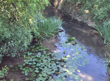 Tocht Stappen Bras - Bras le long du Cauron - Photo