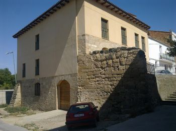 Excursión A pie Torres de Segre - Camí Natural del Riu Segre i Embassament d'Utxesa - Photo