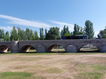 Tocht Stappen Mansilla de las Mulas - 2023 19 virgen del camino - Photo