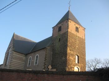 Percorso A piedi Tielt-Winge - Tieltse Motte Oranje bol - Photo