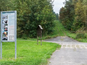 Percorso A piedi Beendorf - Lappwald Rundwanderweg 19 - Photo