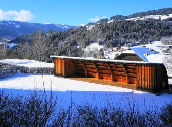 Percorso A piedi Arriach - Arriacher Hofwanderweg - Photo