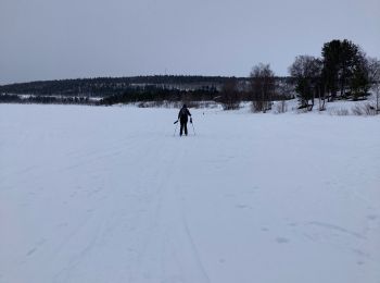 Randonnée Ski de fond  - Katkijarvi Rourke - Photo