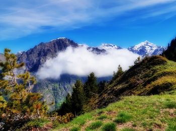 Tour Wandern La Salette-Fallavaux - Croix de Rougny via ND de la Salette - Photo