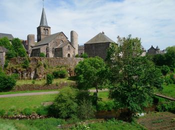 Trail Walking Allanche - Allanche - Maillargues Puy de Mathonière - 12.8km 320m 4h00 - 2019 06 25 - Photo