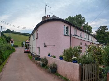 Percorso A piedi Mid Devon - Redvers Ramble - Photo