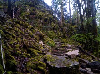 Trail Walking Ivrey - Nans sous ste Anne  - Photo